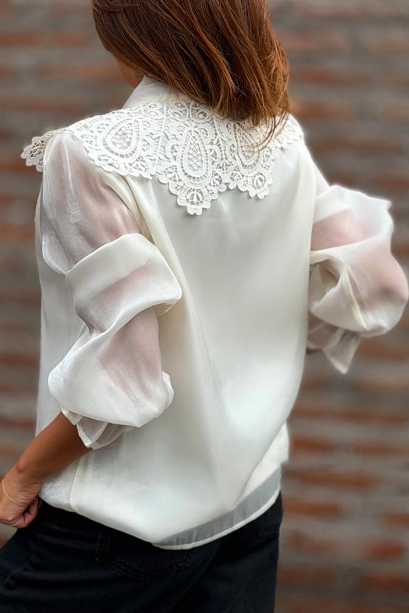 Women's Round Neck Patchwork Pattern Hollowed Out Transparent Sleeves Elegant Casual Top