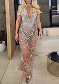 Silver Chainmail Plunge V-Neck Sheer Midi Dress