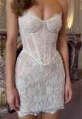 Nude Sheer Lace Strapless Mini Dress with Sequin Embellishments