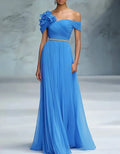 Pleated Chiffon 3d Floral Pattern Maxi Dress