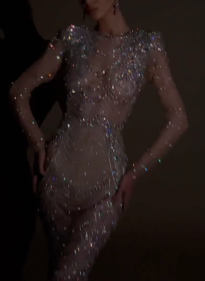 Nude Beaded Mermaid Dress with Sheer Mesh, Fringe Trim & Long Sleeves