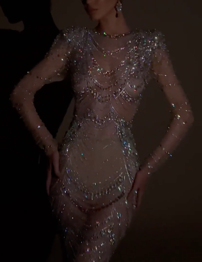 Nude Beaded Mermaid Dress with Sheer Mesh, Fringe Trim & Long Sleeves