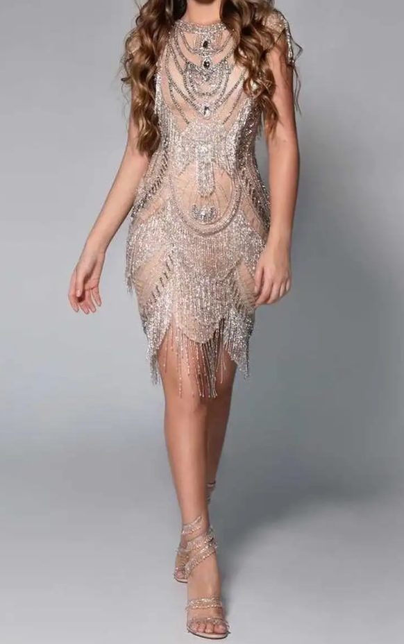 Silver Sequin Fringe Mini Dress